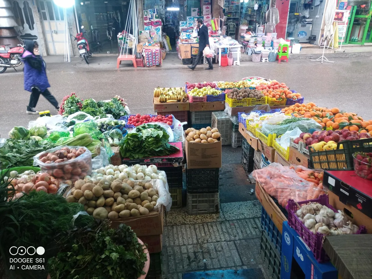 میوه تره بار ترابی - تصویر 2