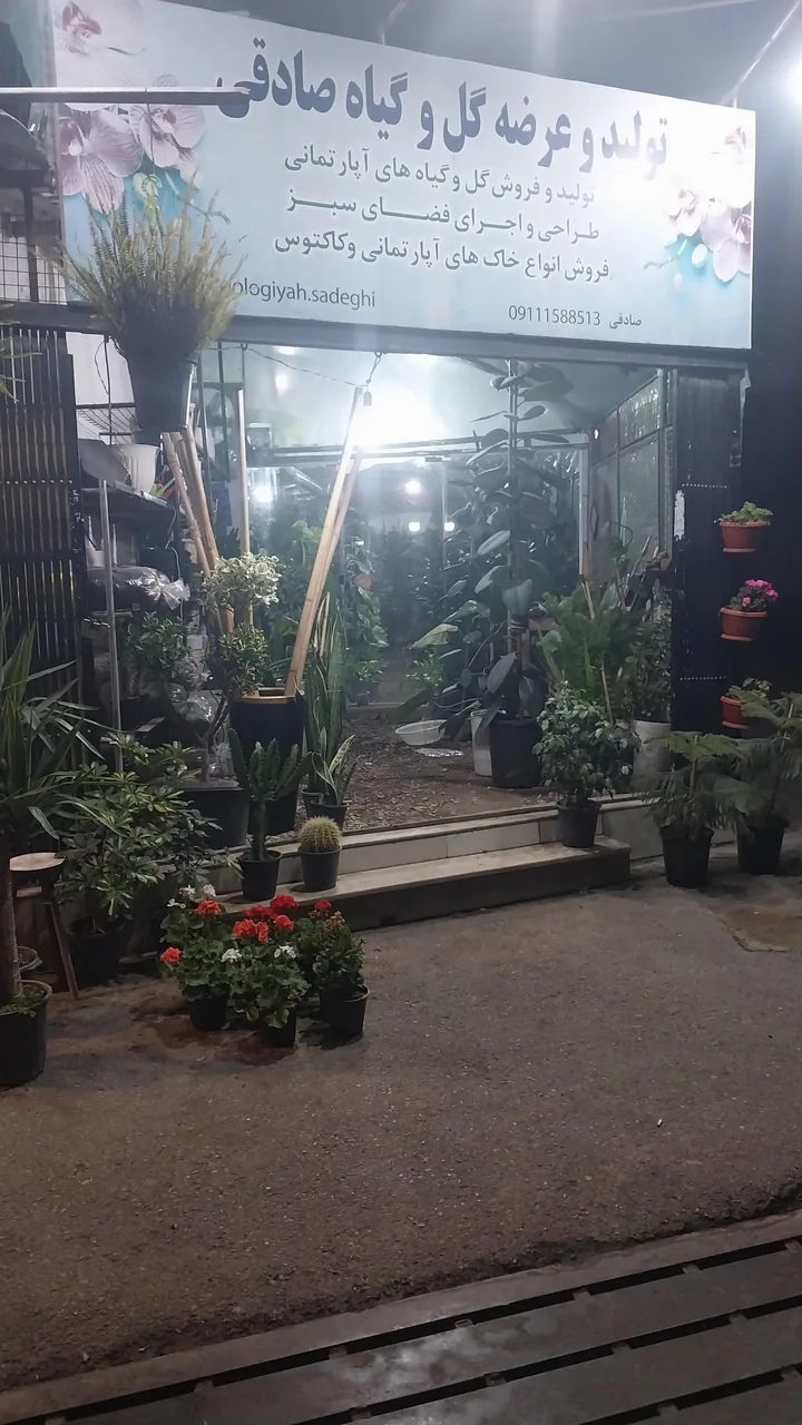 گلخانه صادقی