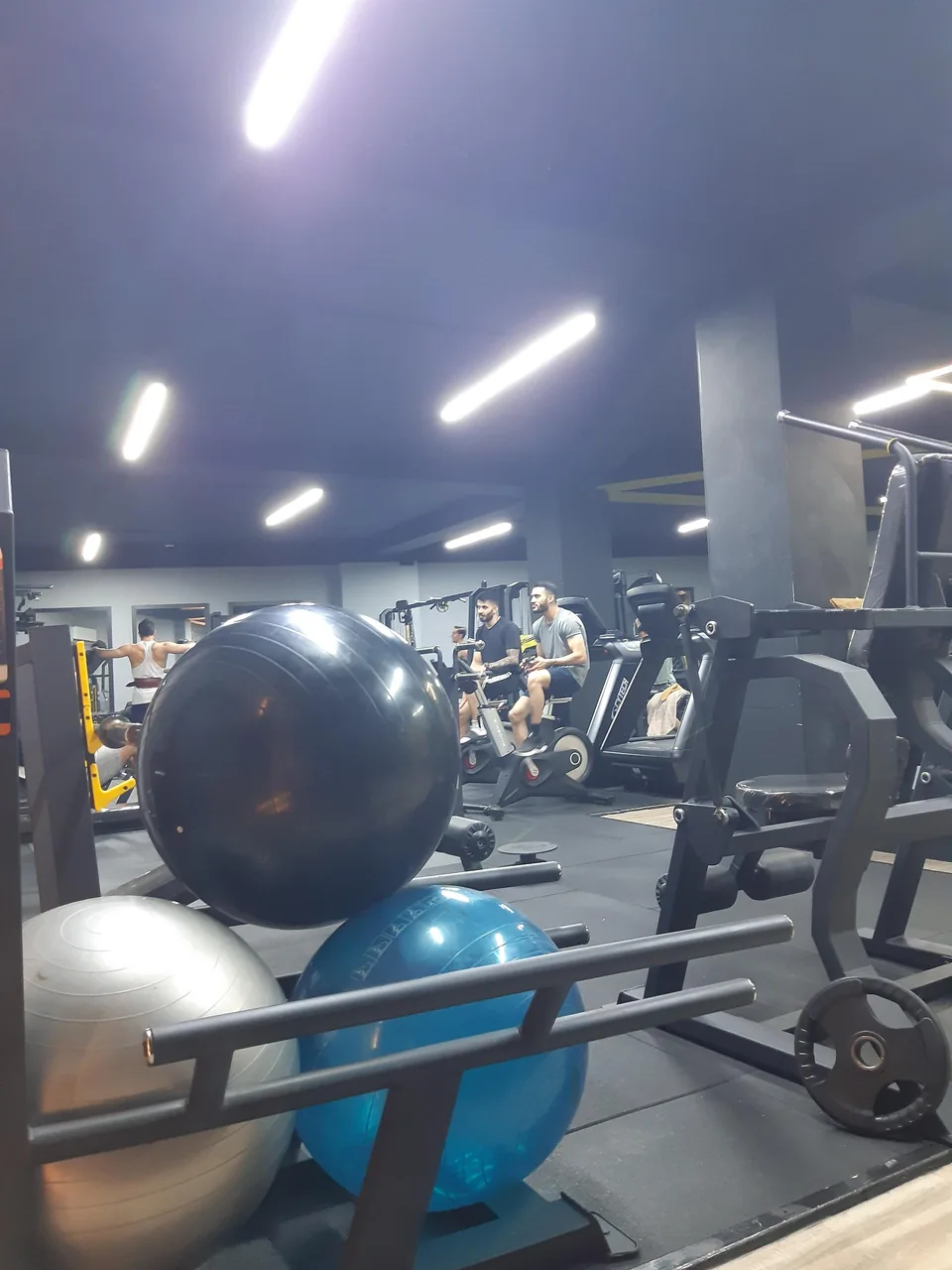 باشگاه بدنسازی اپکس APEX - تصویر 5