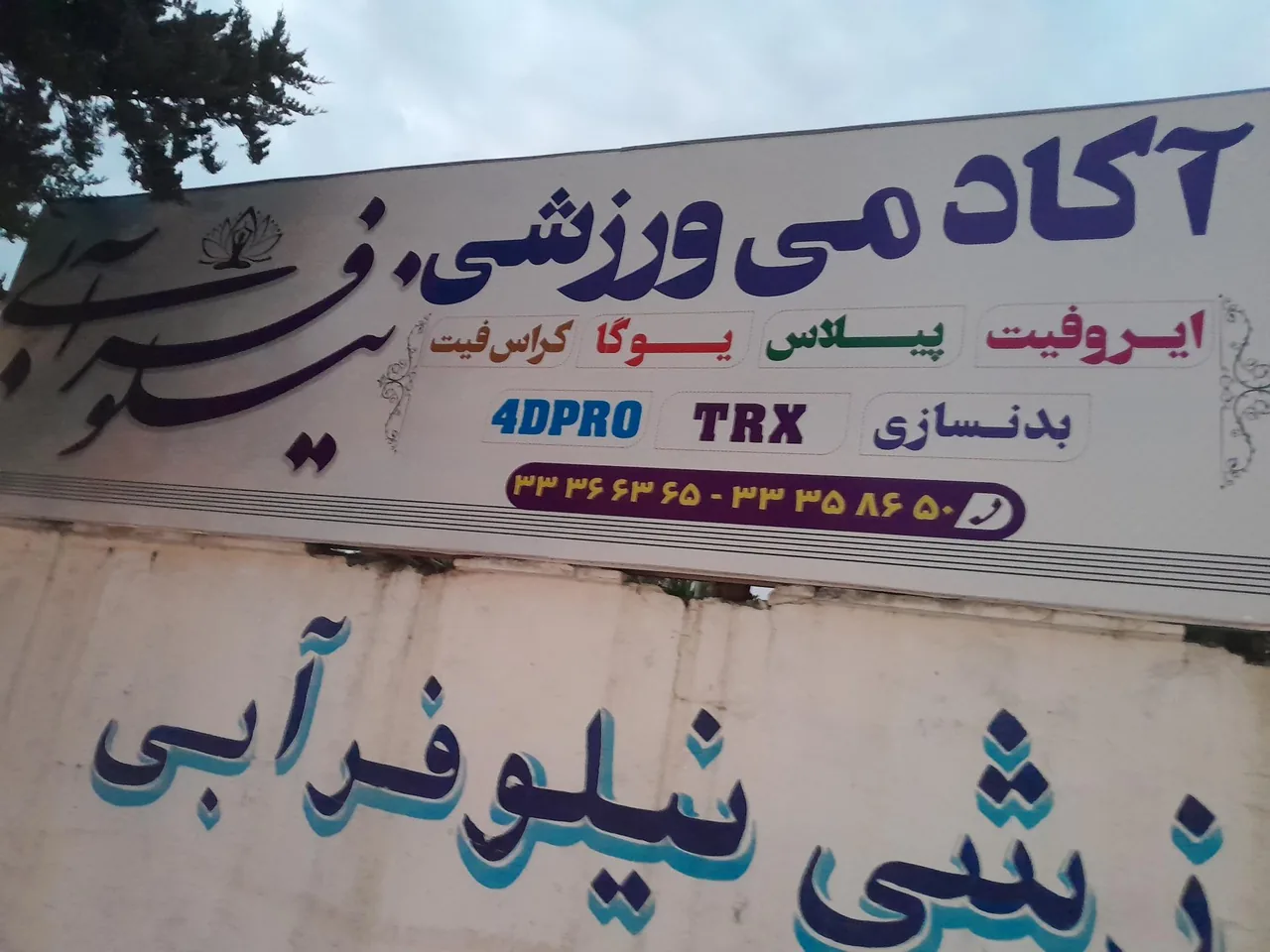 باشگاه نیلوفر آبی - تصویر 2