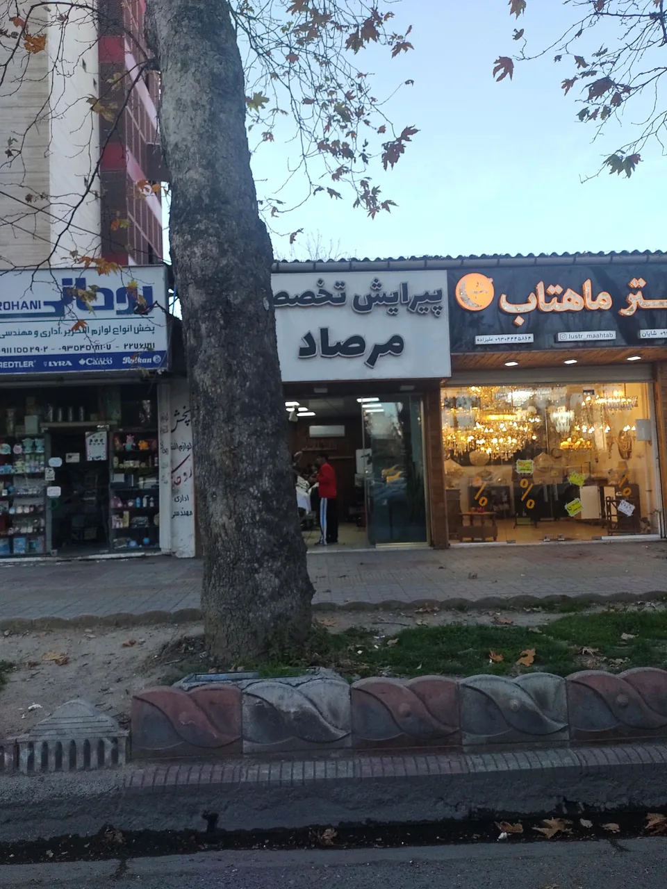 پیرایش تخصصی مرصاد - تصویر 2