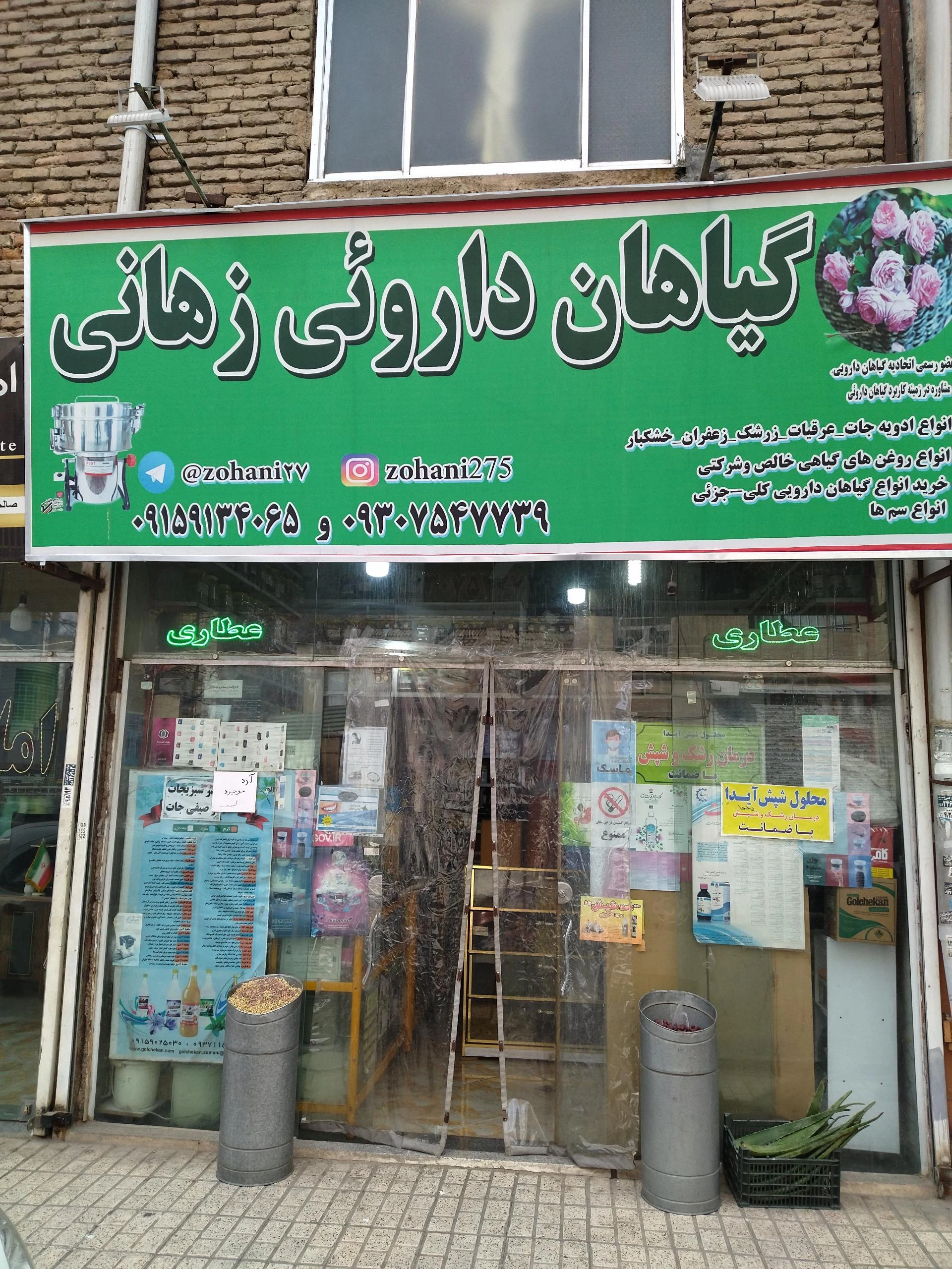 گیاهان دارویی گل گندم - طب سنتی و عطاری در مشهد