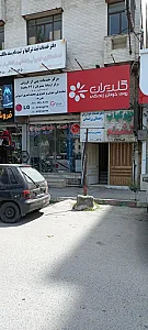 نمایندگی رسمی گلدیران