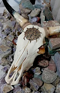 گالری جواهرات سیالمو