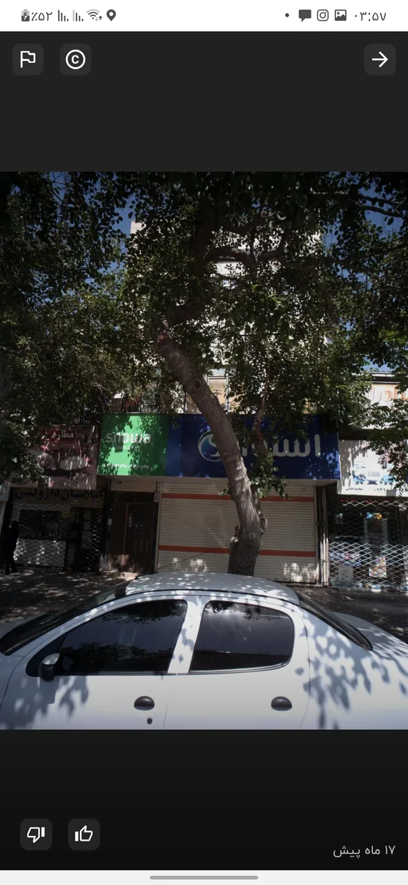 عطاری پردیس (طب سنتی) - تصویر 5