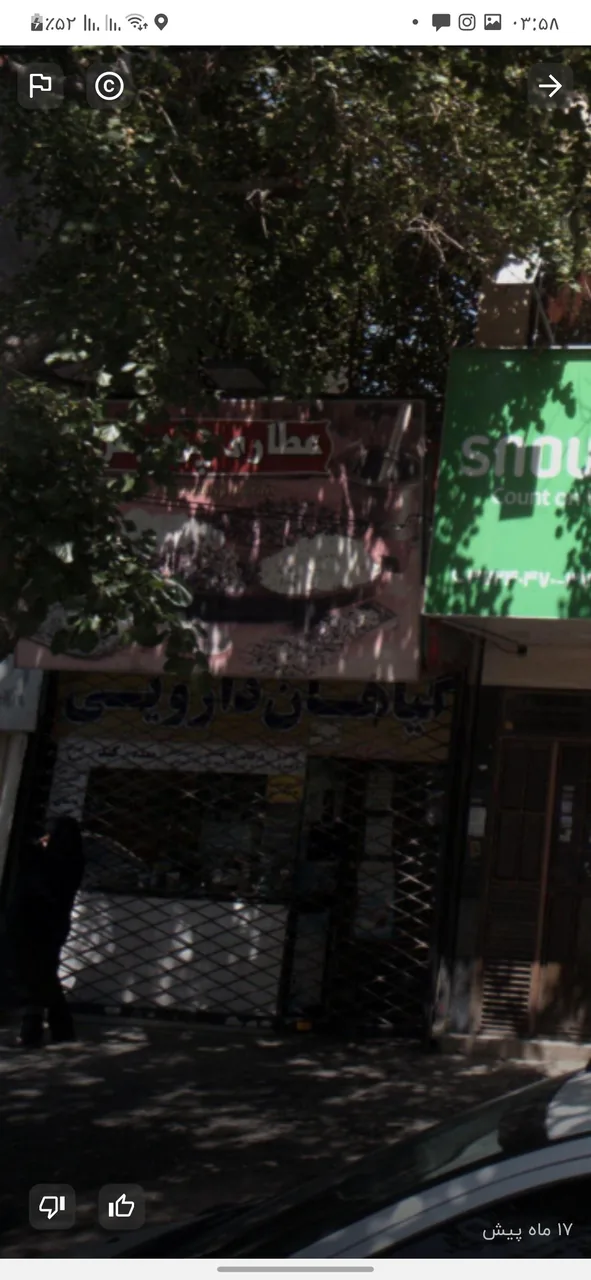 عطاری پردیس (طب سنتی) - تصویر 6
