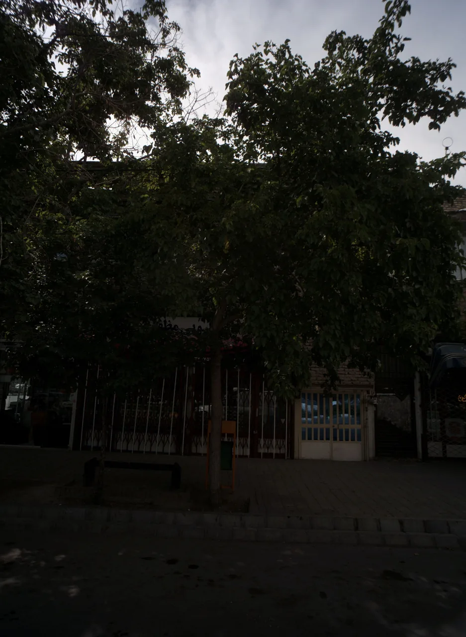 گیاهان دارویی مظفری