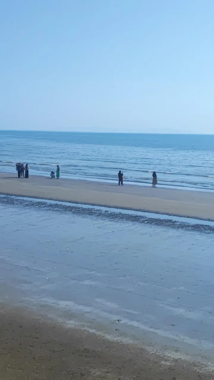 شرکت ساحل هوشمند - تصویر 3
