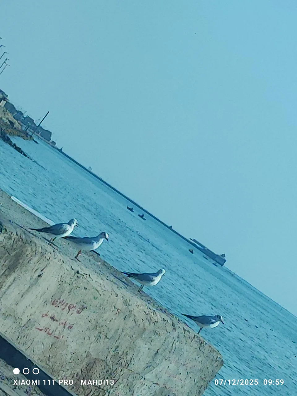 شرکت ساحل هوشمند - تصویر 4