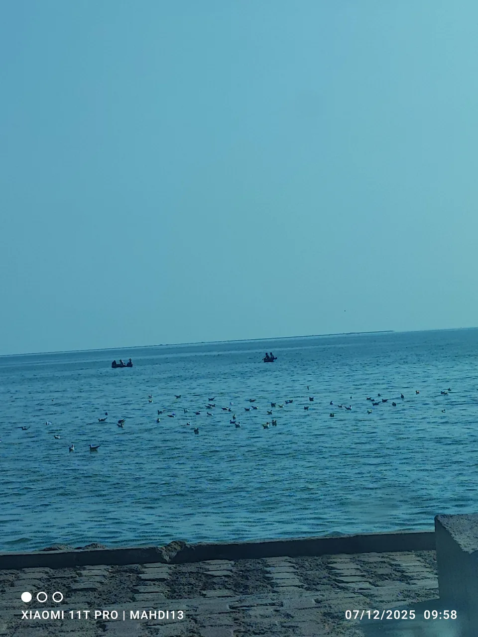 شرکت ساحل هوشمند - تصویر 5