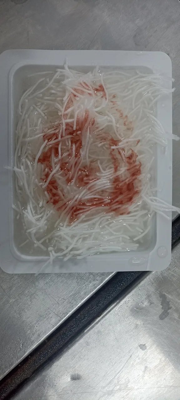 بستنی و فالوده مشهدی - تصویر 4