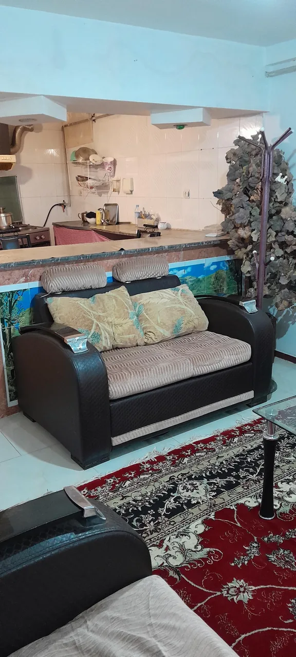 سوئیت همتی - تصویر 2