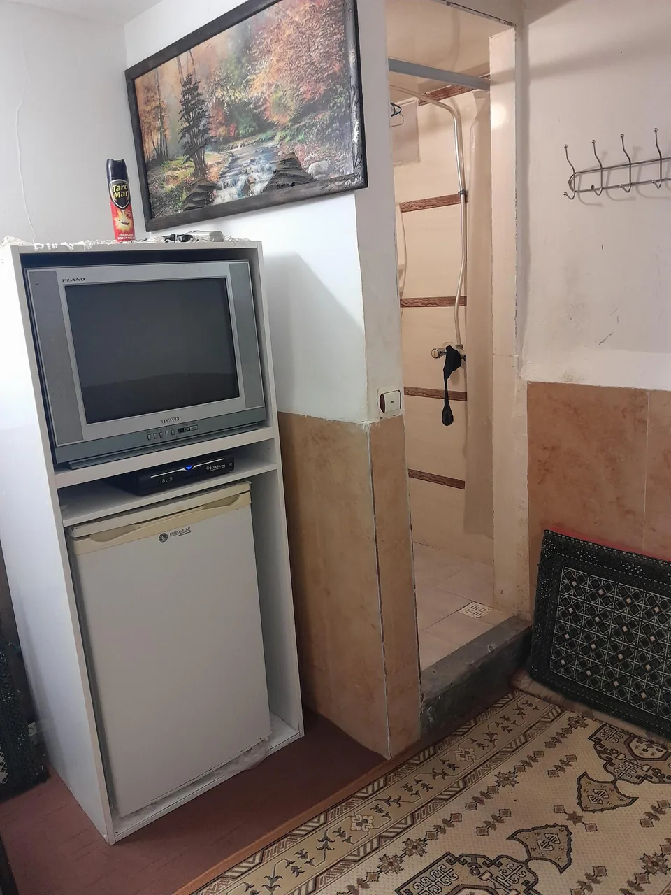 سوئیت همتی - تصویر 3