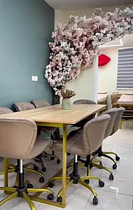 خانه ابرو آناهید