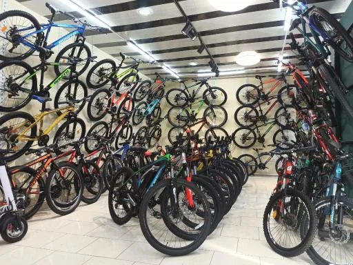 دوچرخه آکسون