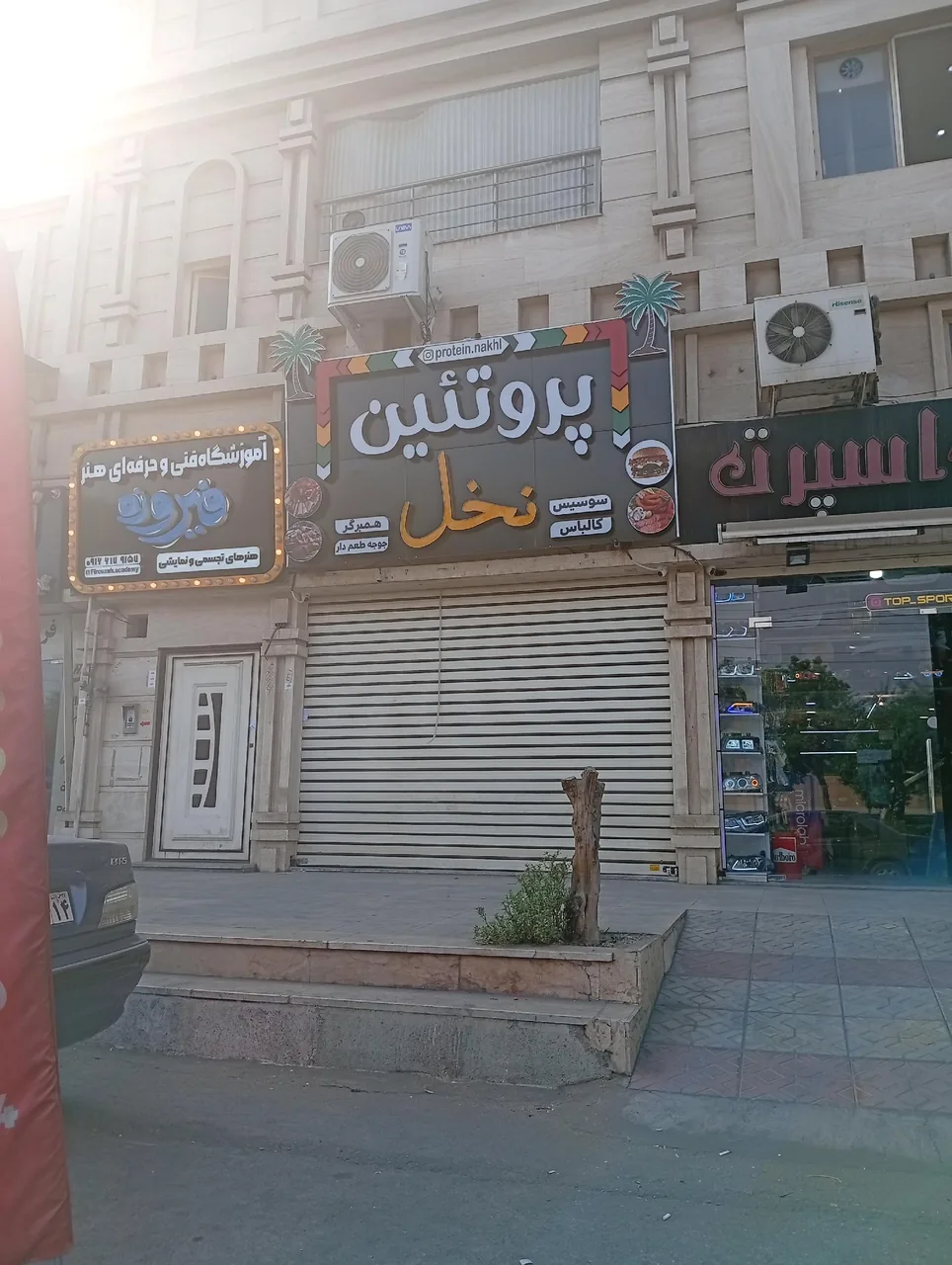 فروشگاه پروتئین نخل