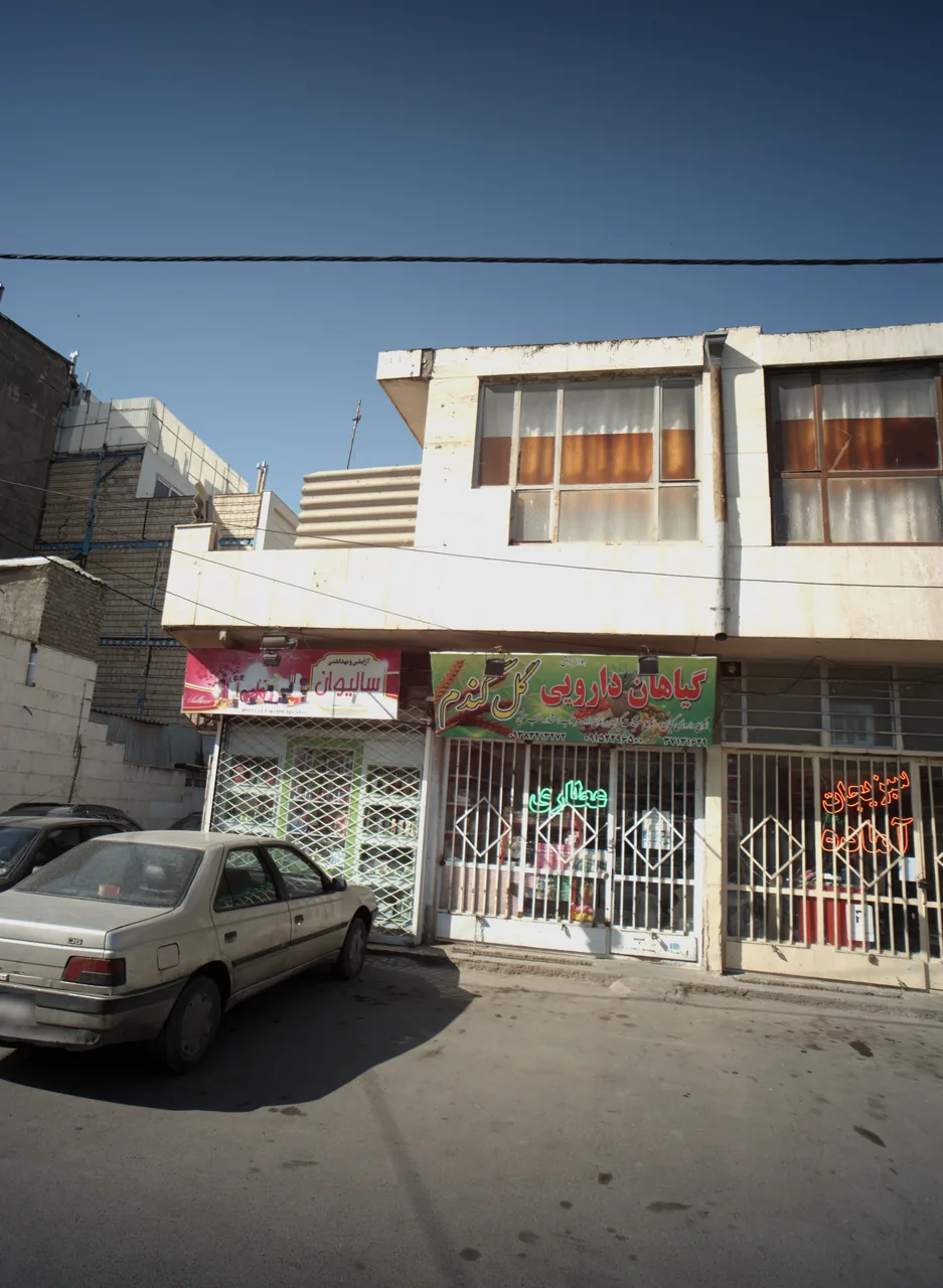 گیاهان دارویی گل گندم