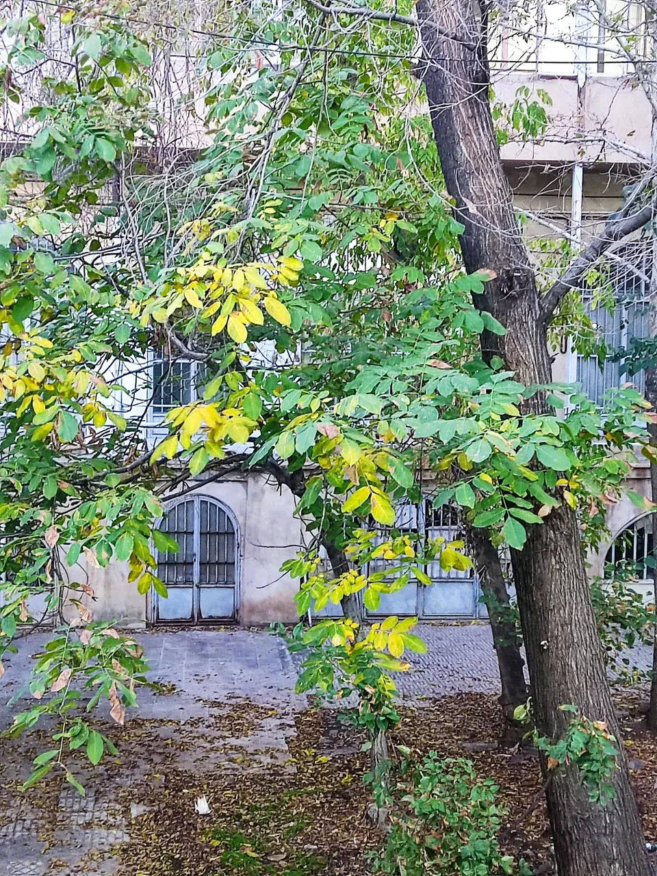 کافه گلشن - تصویر 3