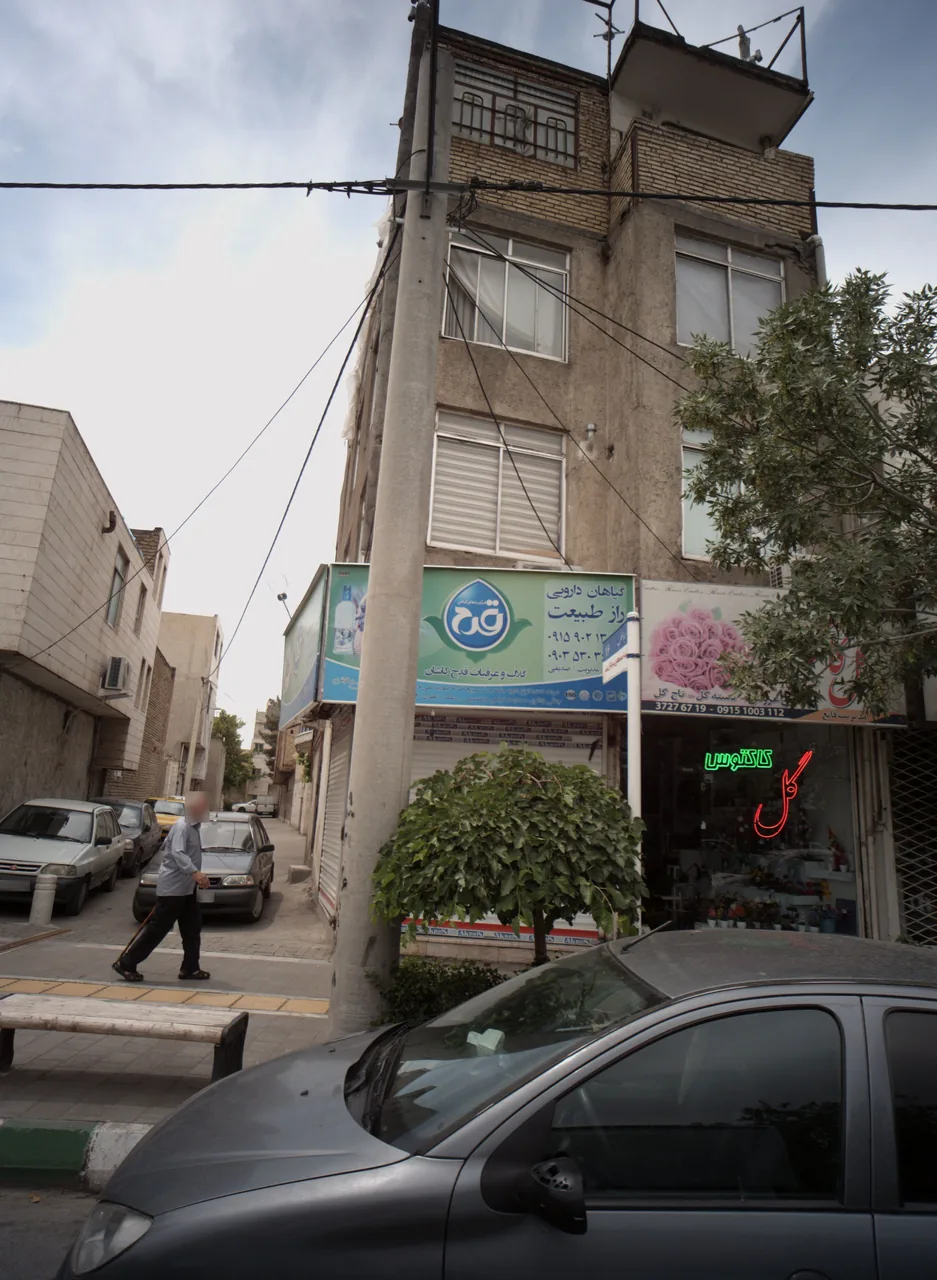 گیاهان دارویی راز طبیعت