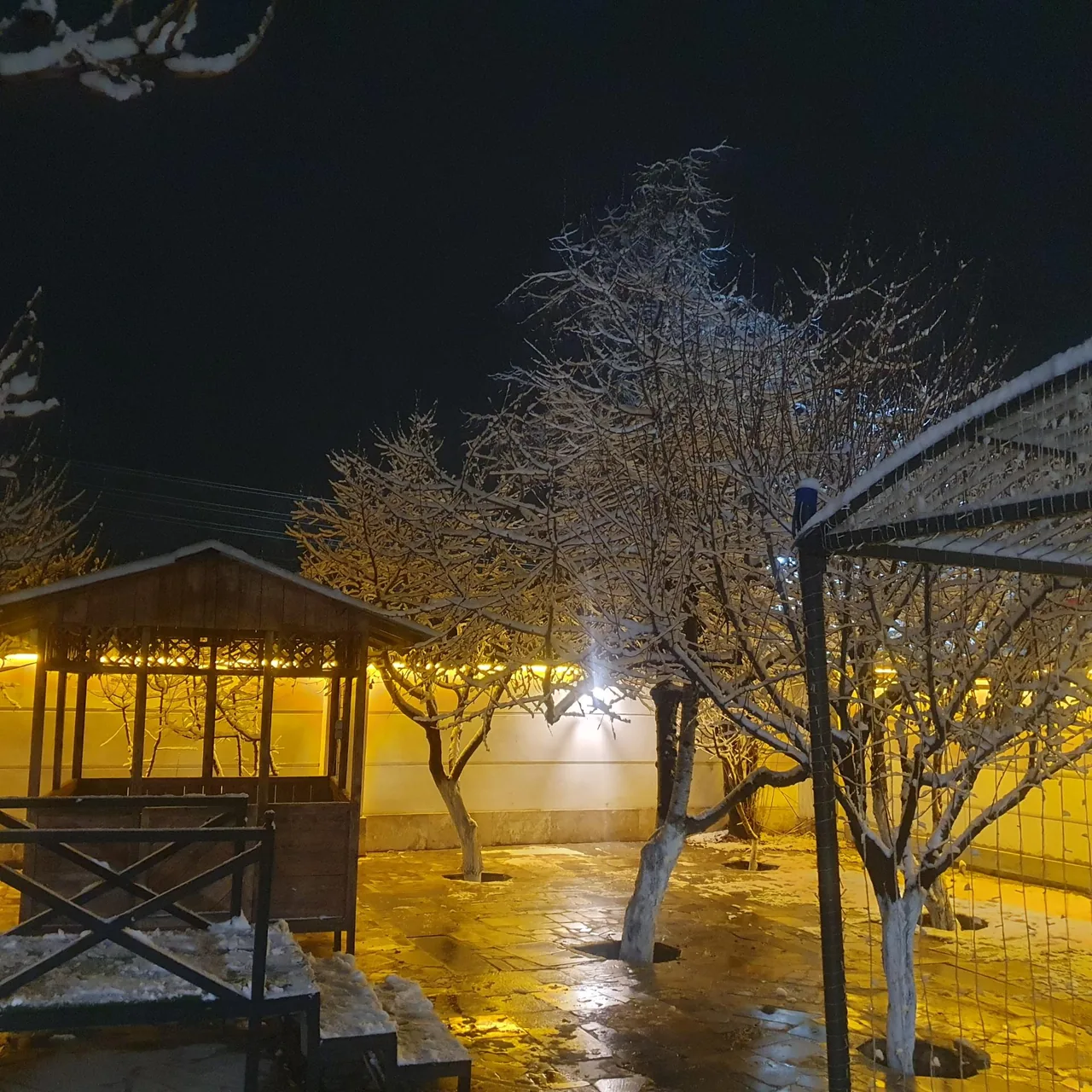 رومنس گاردن - تصویر 4