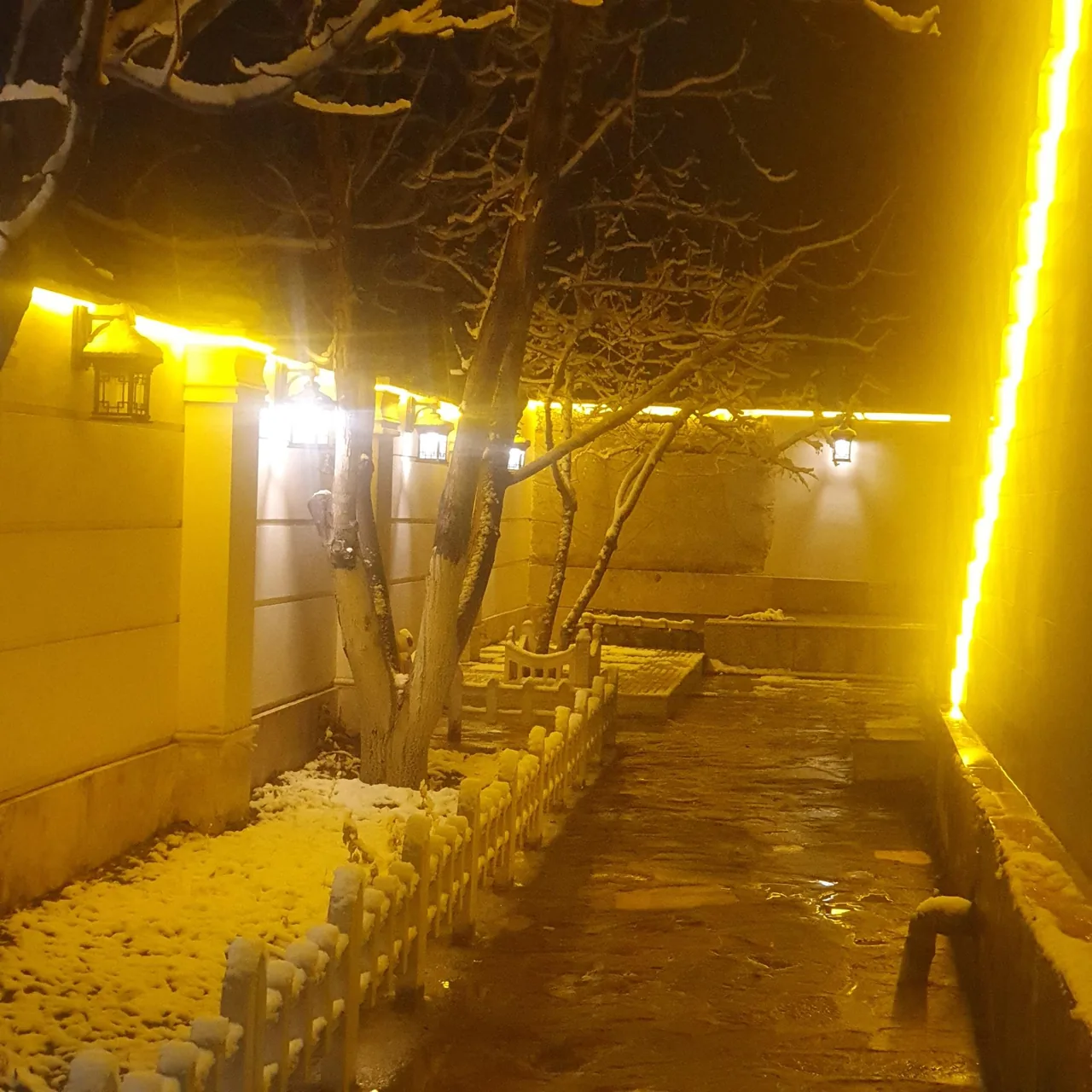 رومنس گاردن - تصویر 5