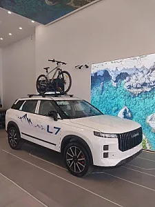نمایندگی لوکانو کد ۷۰۹ همتی