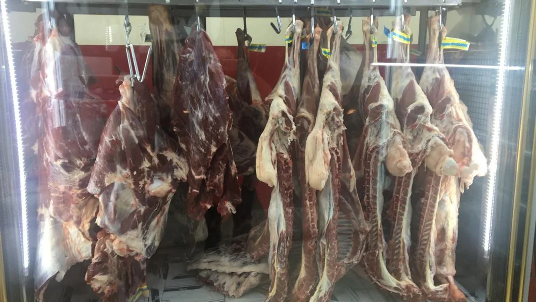 مرغ و گوشت امیر ارسلان - تصویر 6