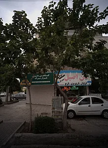 گیاهان دارویی هزار برگ