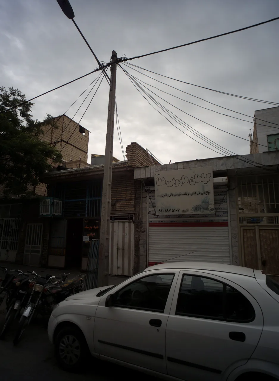 گیاهان دارویی شفا