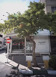 گیاهان دارویی برتر