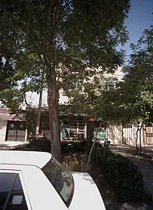 گیاهان دارویی طب الصادق
