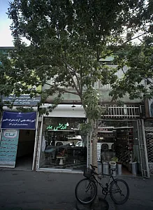 گیاهان دارویی