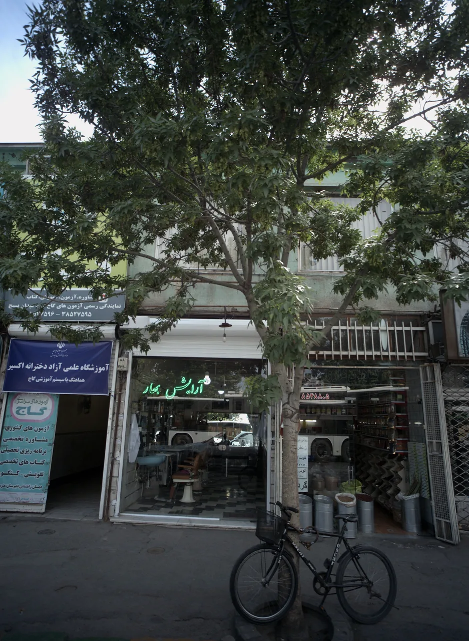 گیاهان دارویی