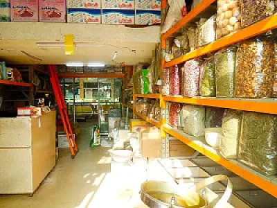 عمده فروش گیاهان دارویی صحرایی