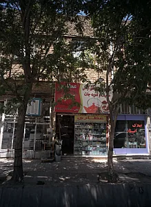 عطاری کاکتوس