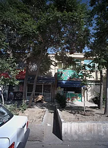 گیاهان دارویی توکل