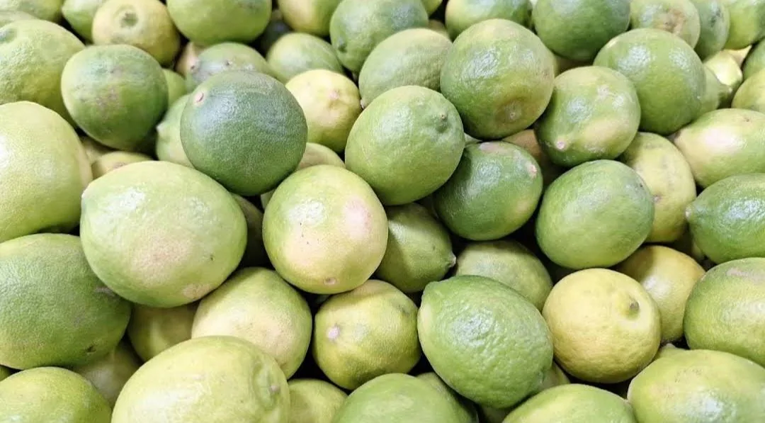 آبلیمو و آبغوره قیماقی - تصویر 3