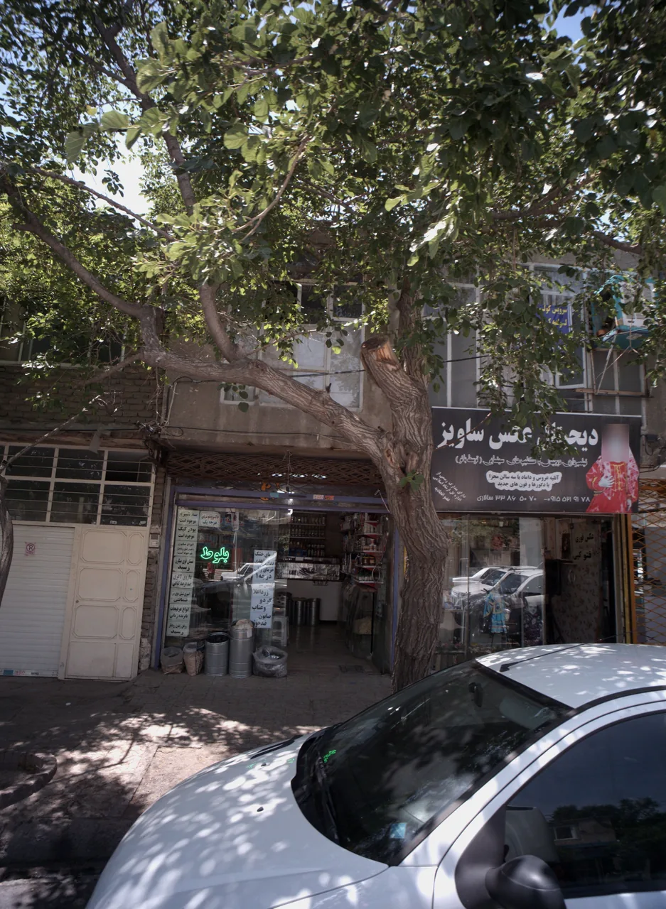 عطاری بلوط