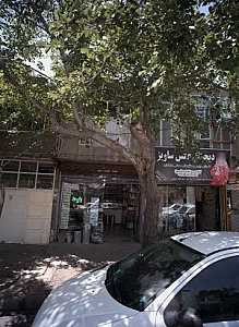 عطاری بلوط