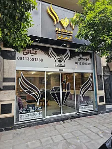 مشاورین املاک المان