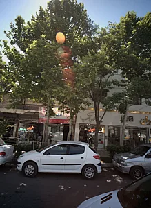 عطاری ترنج
