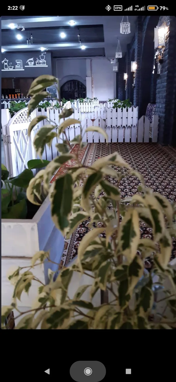 کافه رستوران تی شی نی