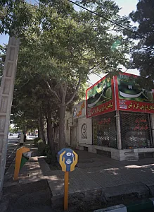 گیاهان دارویی گل نرگس
