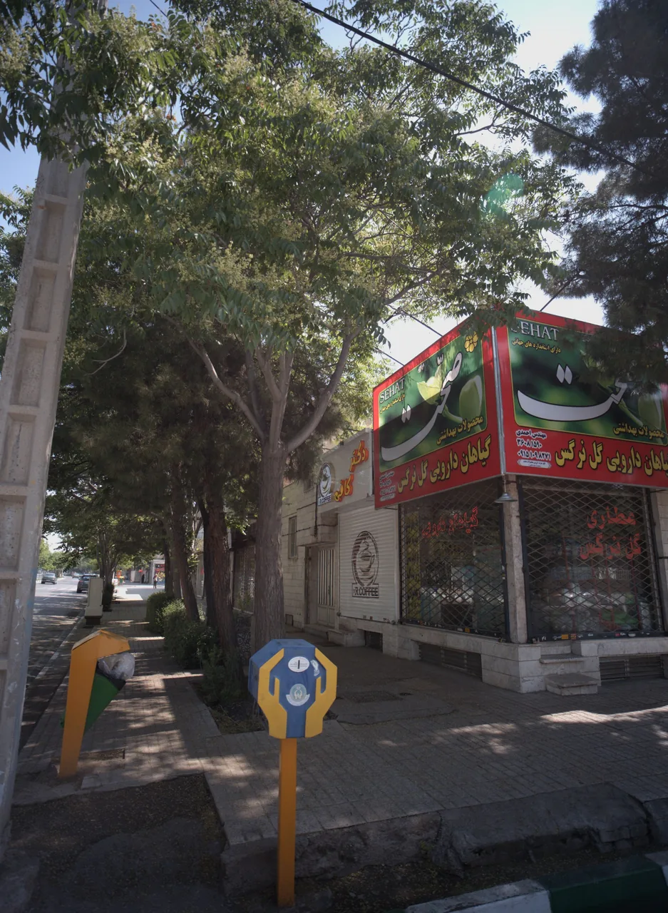 گیاهان دارویی گل نرگس