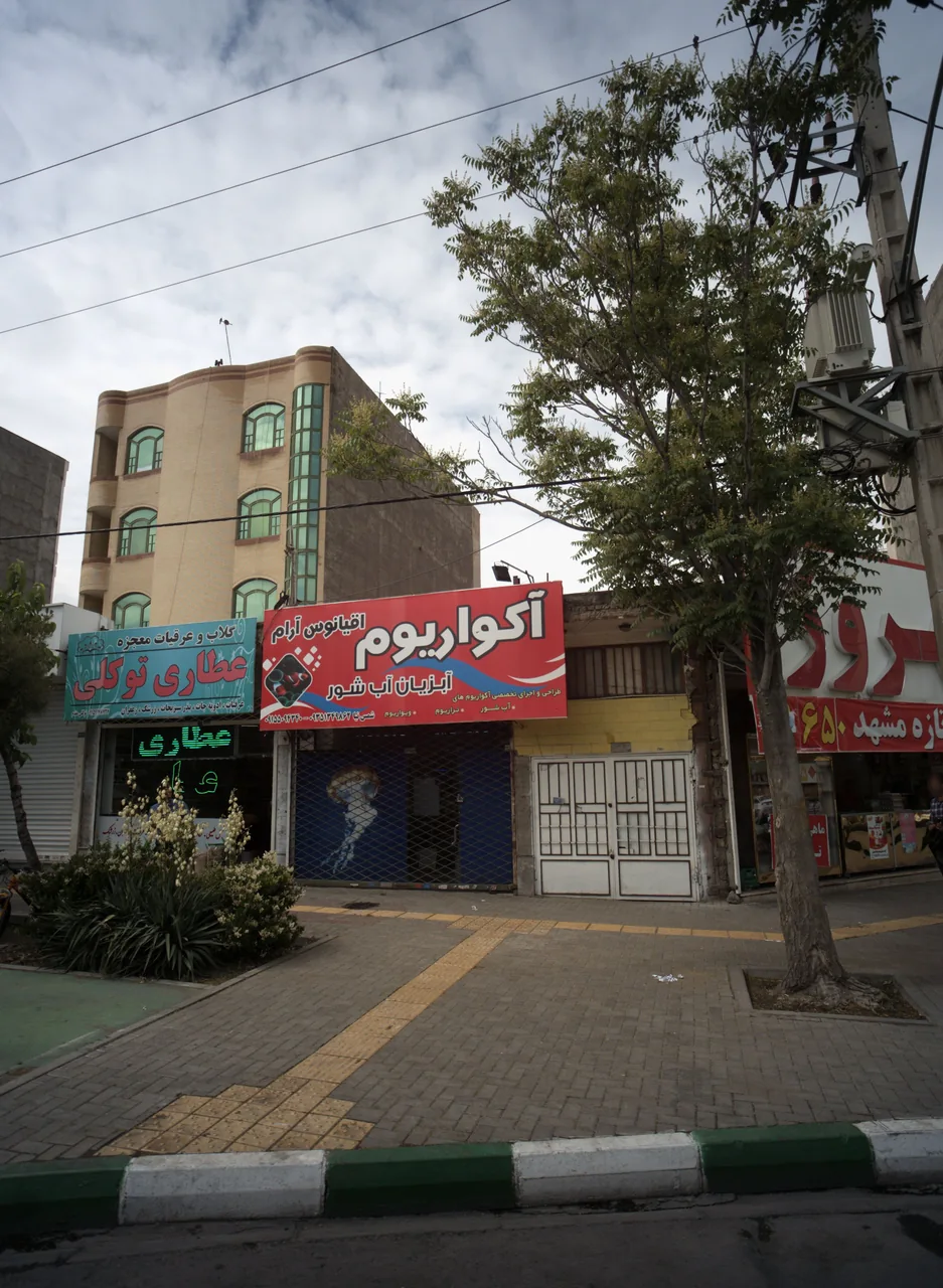 عطاری توکلی
