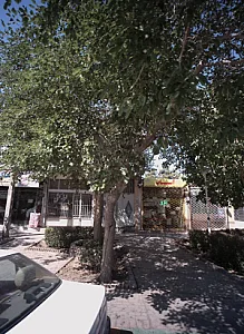 عطاری آسیاب