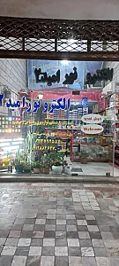 الکترو نور امید ۲
