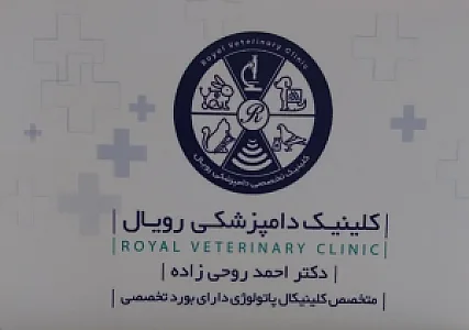 کلینیک دامپزشکی رویال