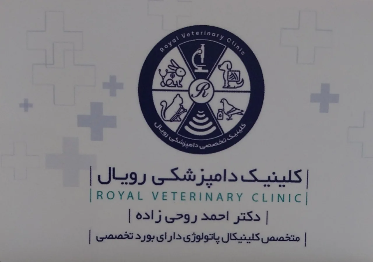 کلینیک دامپزشکی رویال