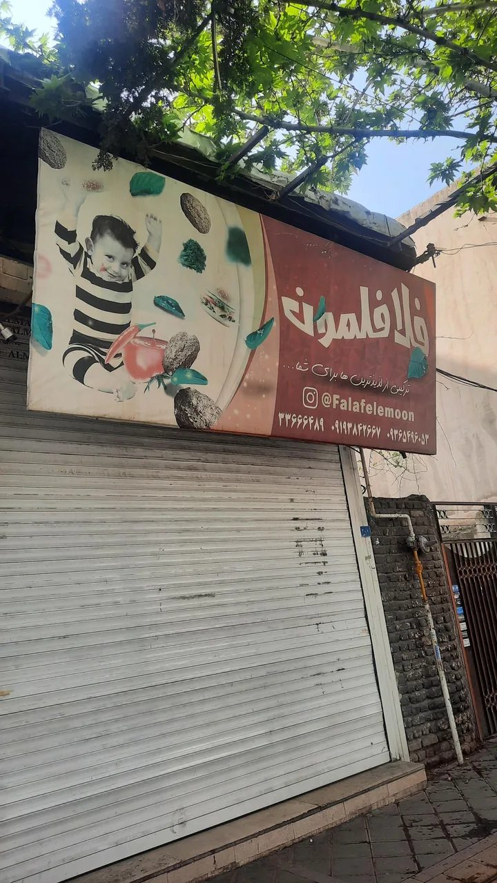 فلافلمون - تصویر 2